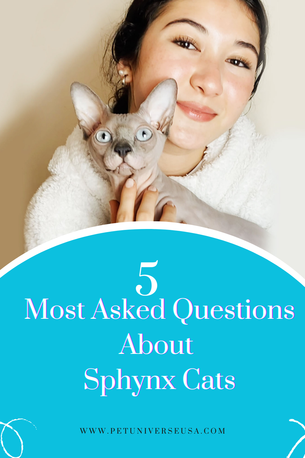 Unveiling the Mysteries of Sphynx Cats: Answering 5 Common Queries