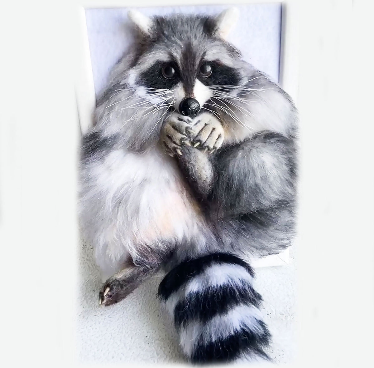 Felt Animal Portrait - Face, Paws and Tail - Raccoon