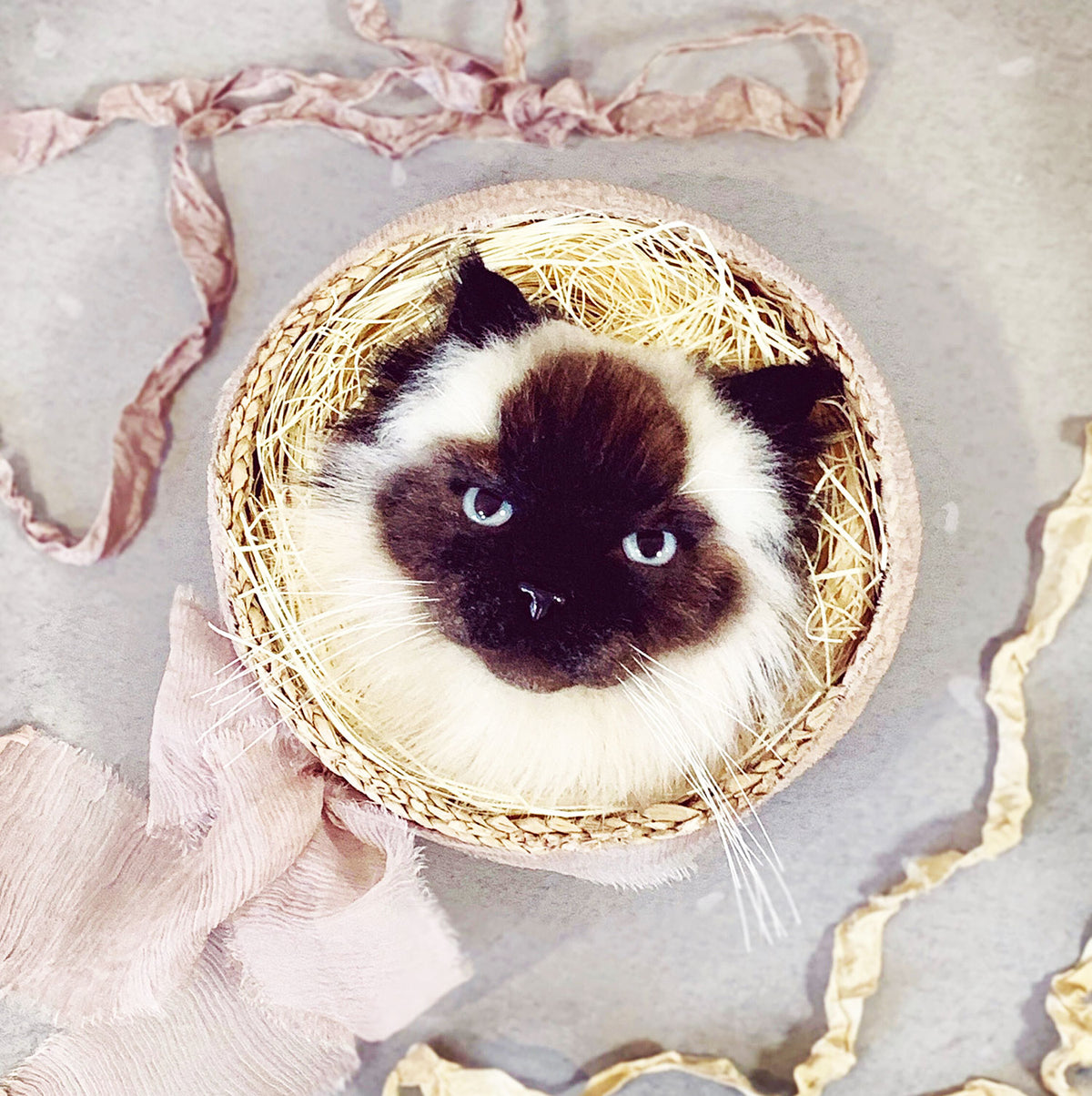 Custom Felt Balinese Cat Brooch from Photo