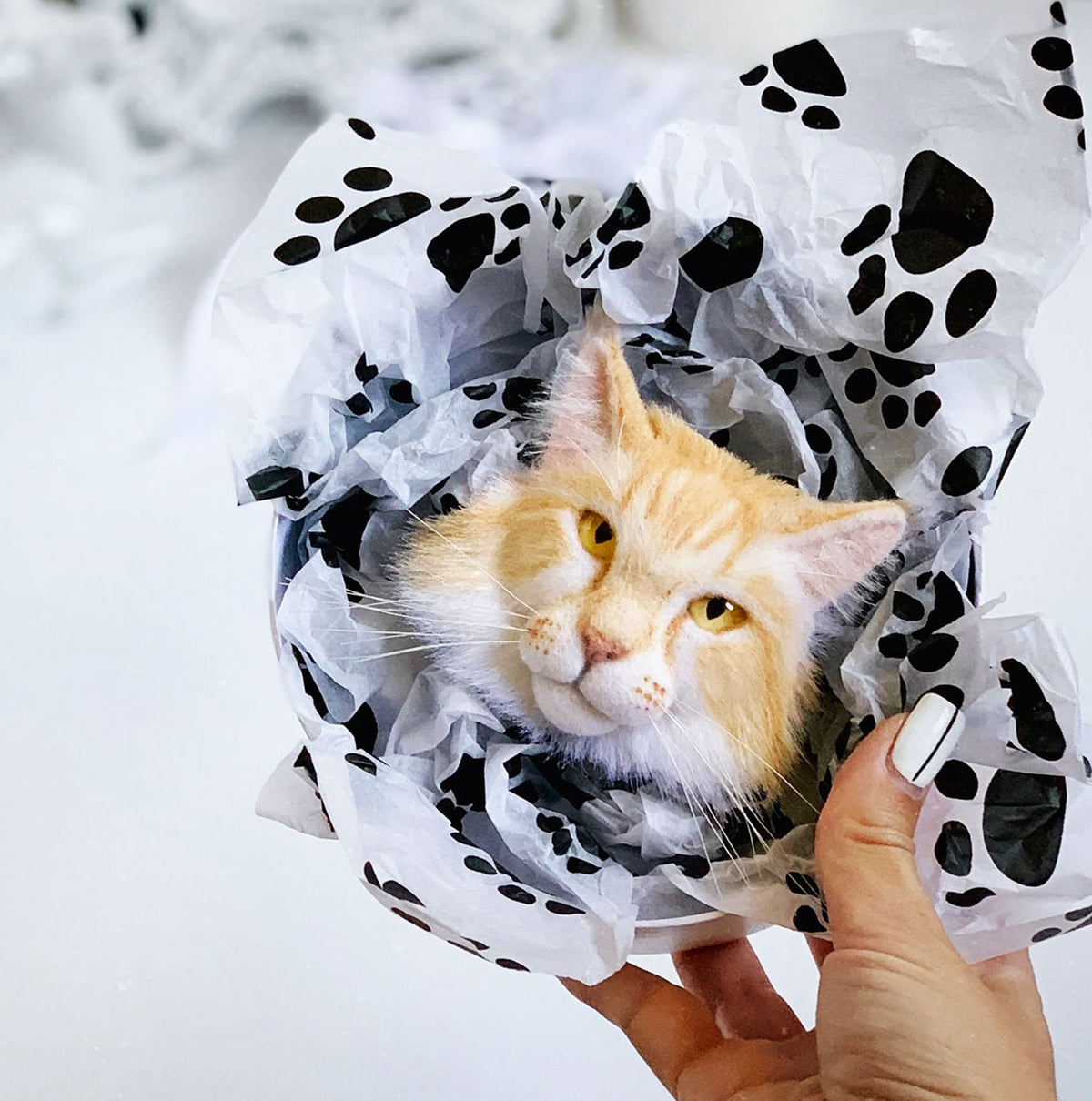 3D Felt Maine Coon Cat Brooch from Photo