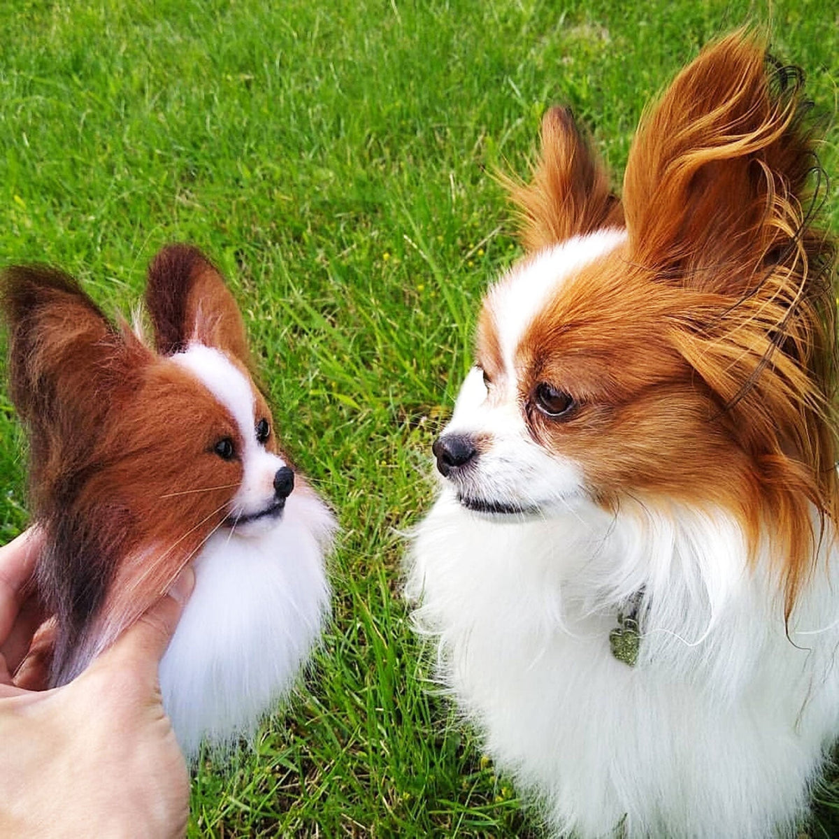Custom Felt Dog Brooch from Photo