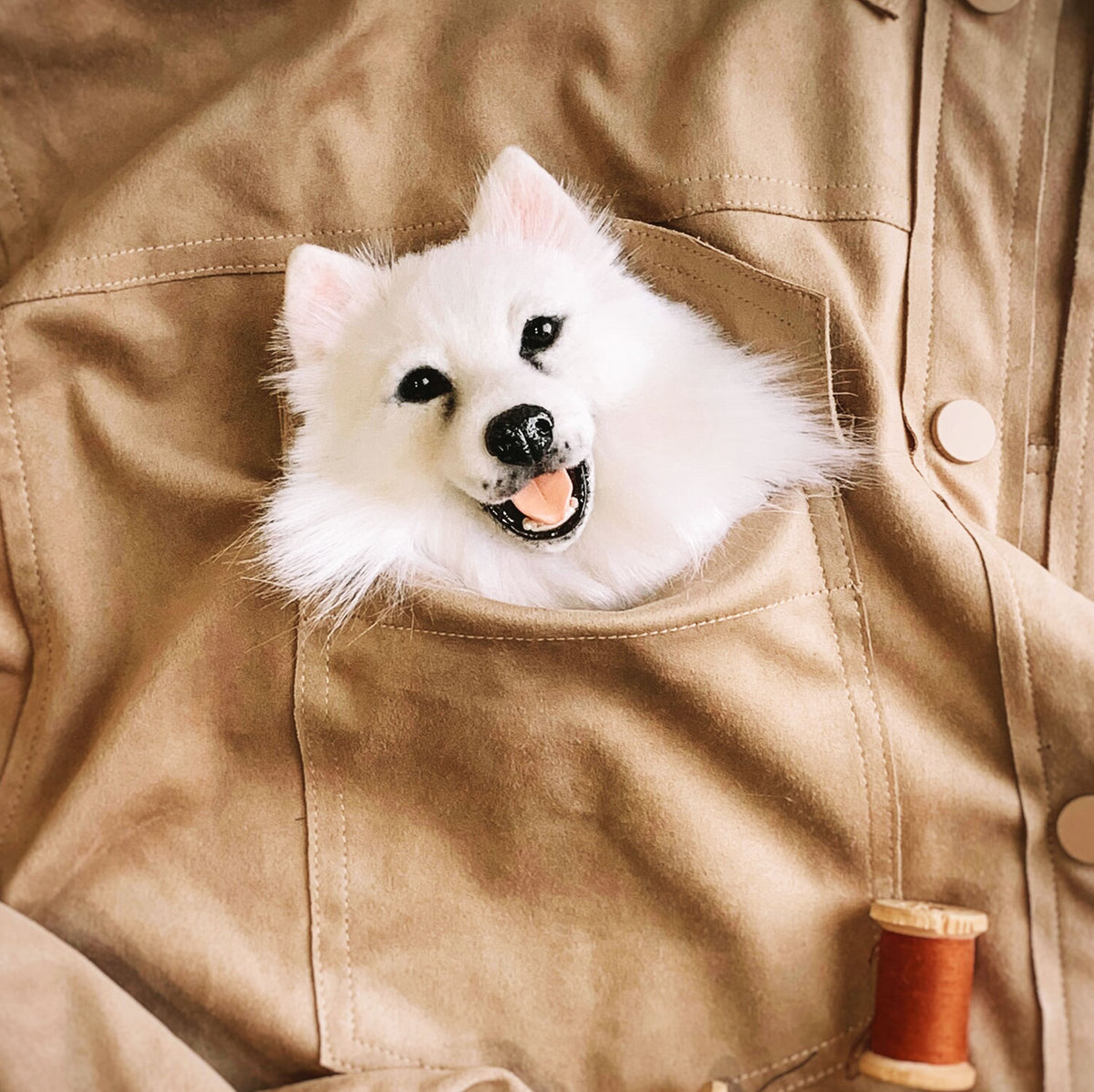 Felt Dog Brooch from Photos - Long Hair
