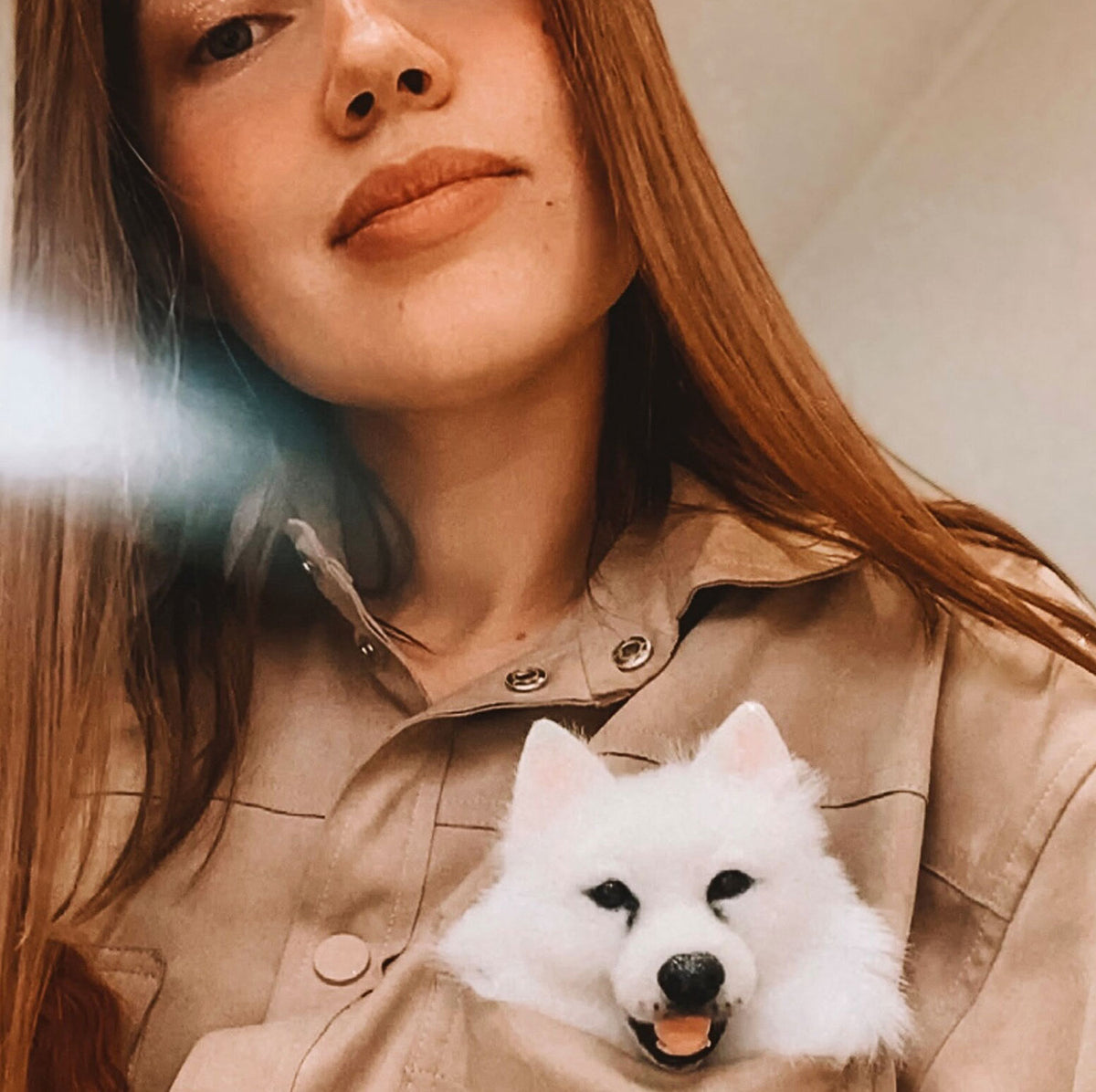 Felt Dog Brooch from Photos - Long Hair