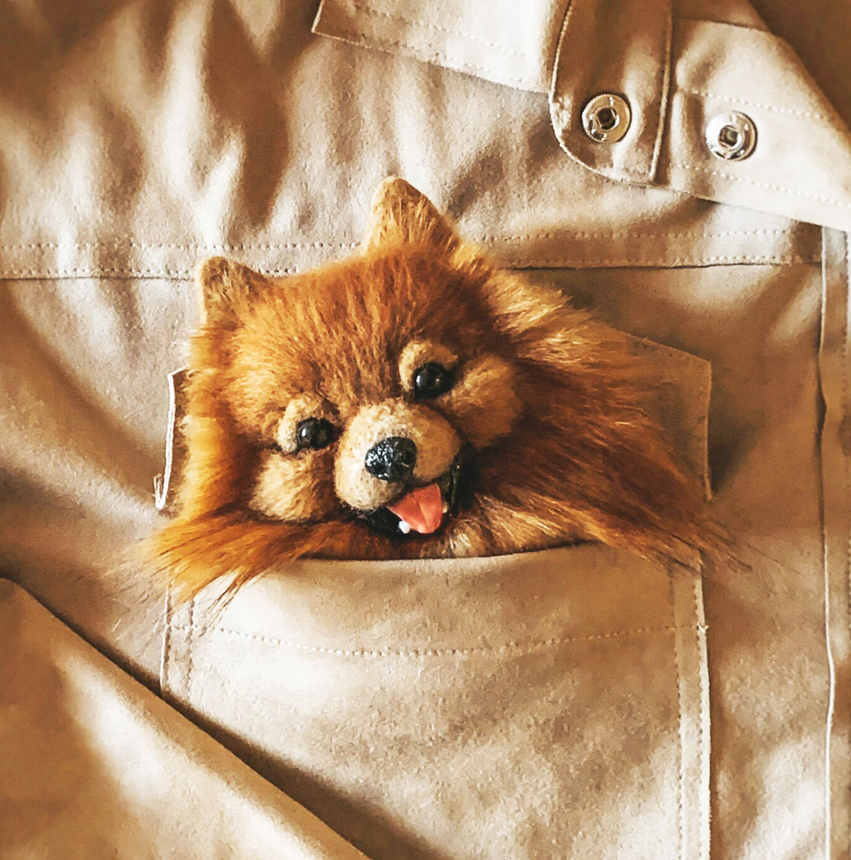 Felt Dog Brooch from Photos - Spitz