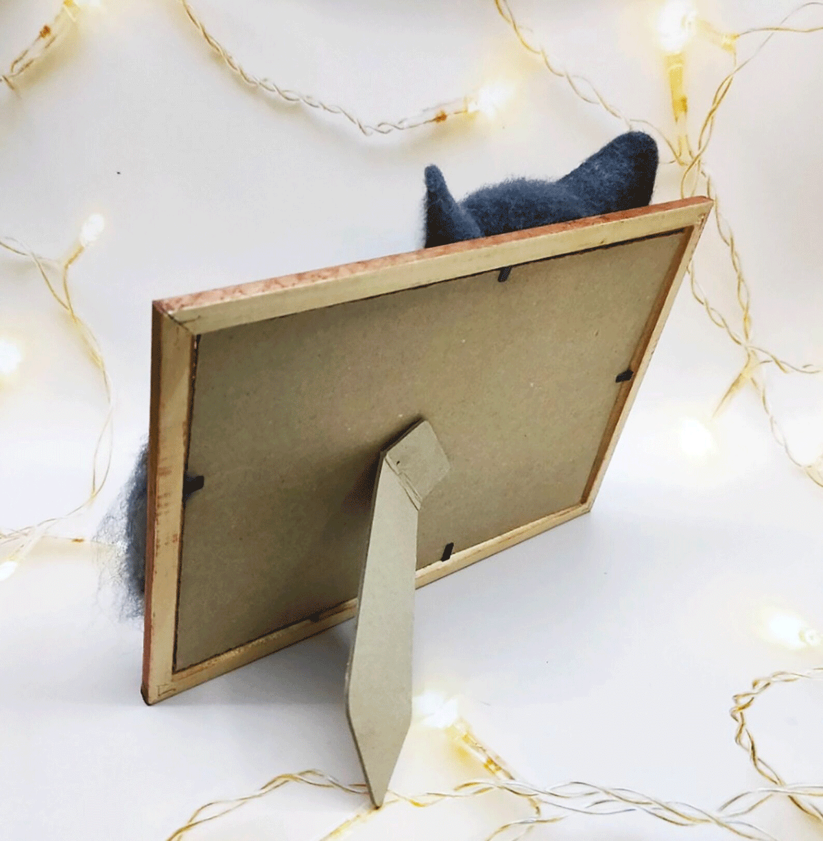 3D Cat Portrait from Photos