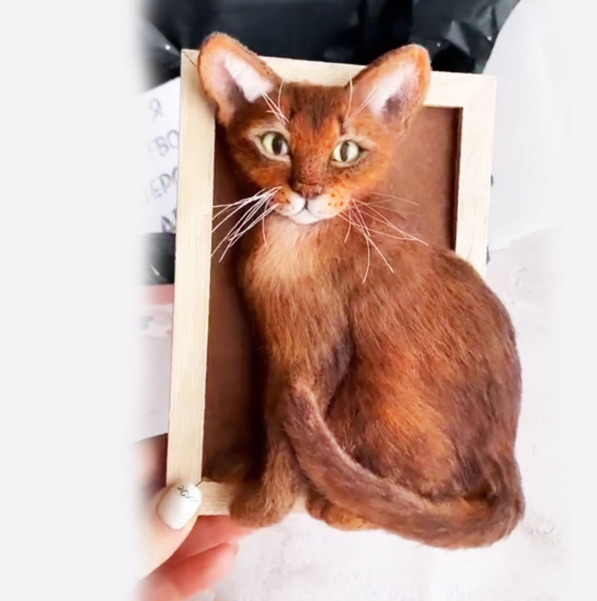 3D Felt Abyssinian Cat Portrait from Photos