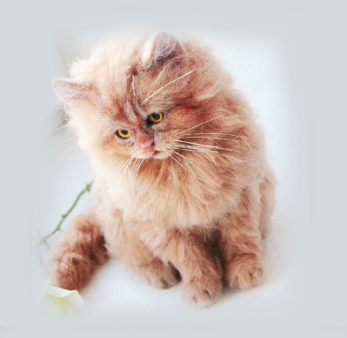 Custom Felt Maine Coon Cat Doll from Photo