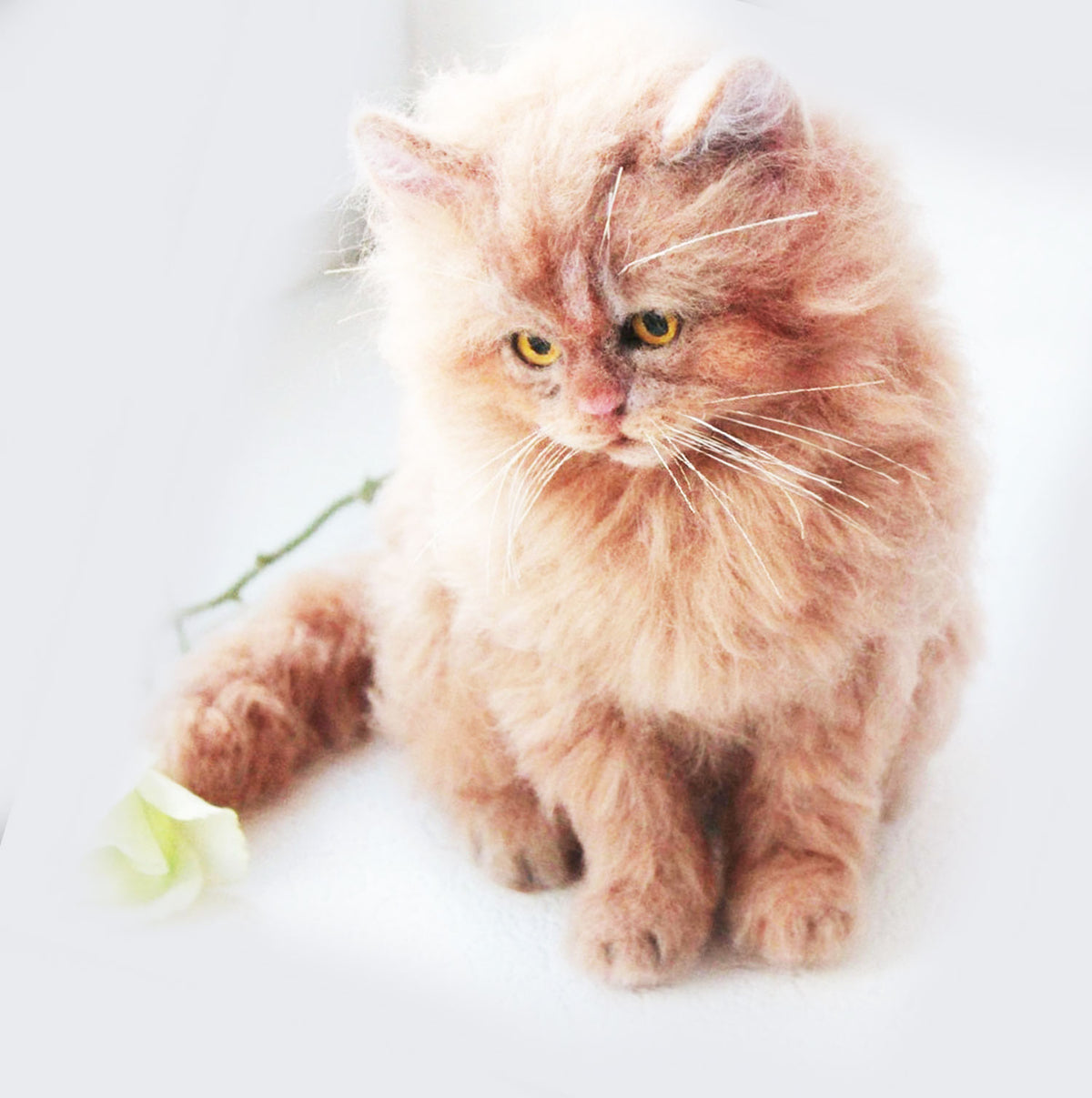 Custom Felt Maine Coon Cat Doll from Photo