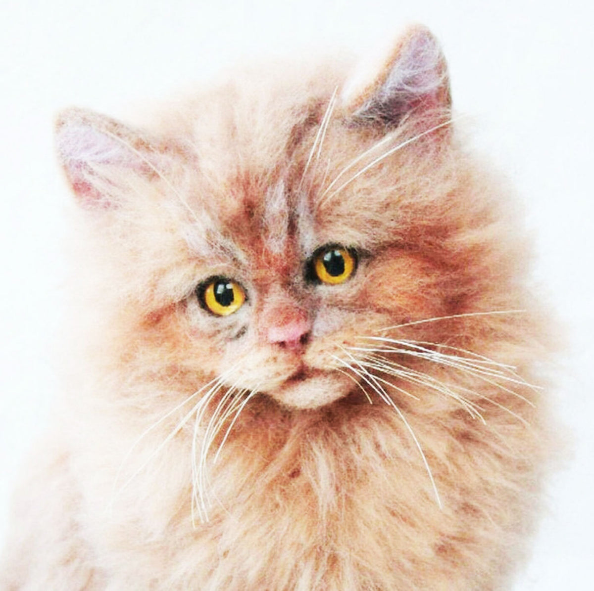 Custom Felt Maine Coon Cat Doll from Photo
