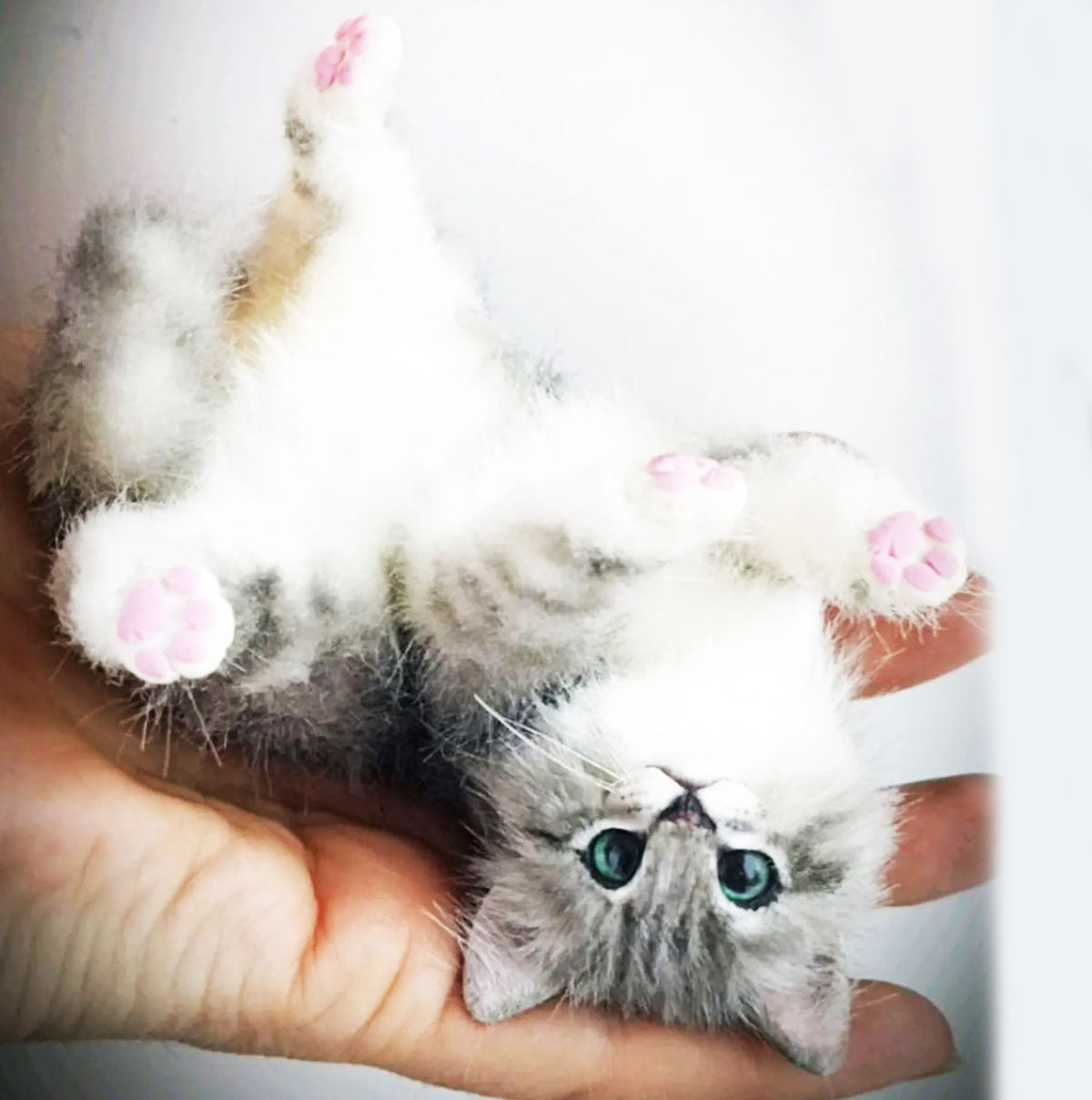 PLUSH Cat from Photos - Miniature Kitten
