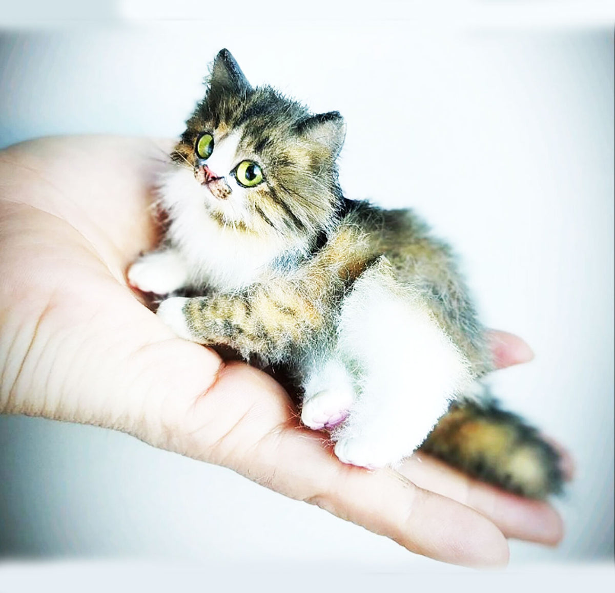 PLUSH Cat from Photos - Miniature Kitten