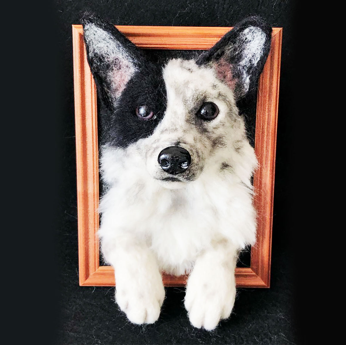 Vertical Dog Portrait - Face &amp; Paws- Border Collie