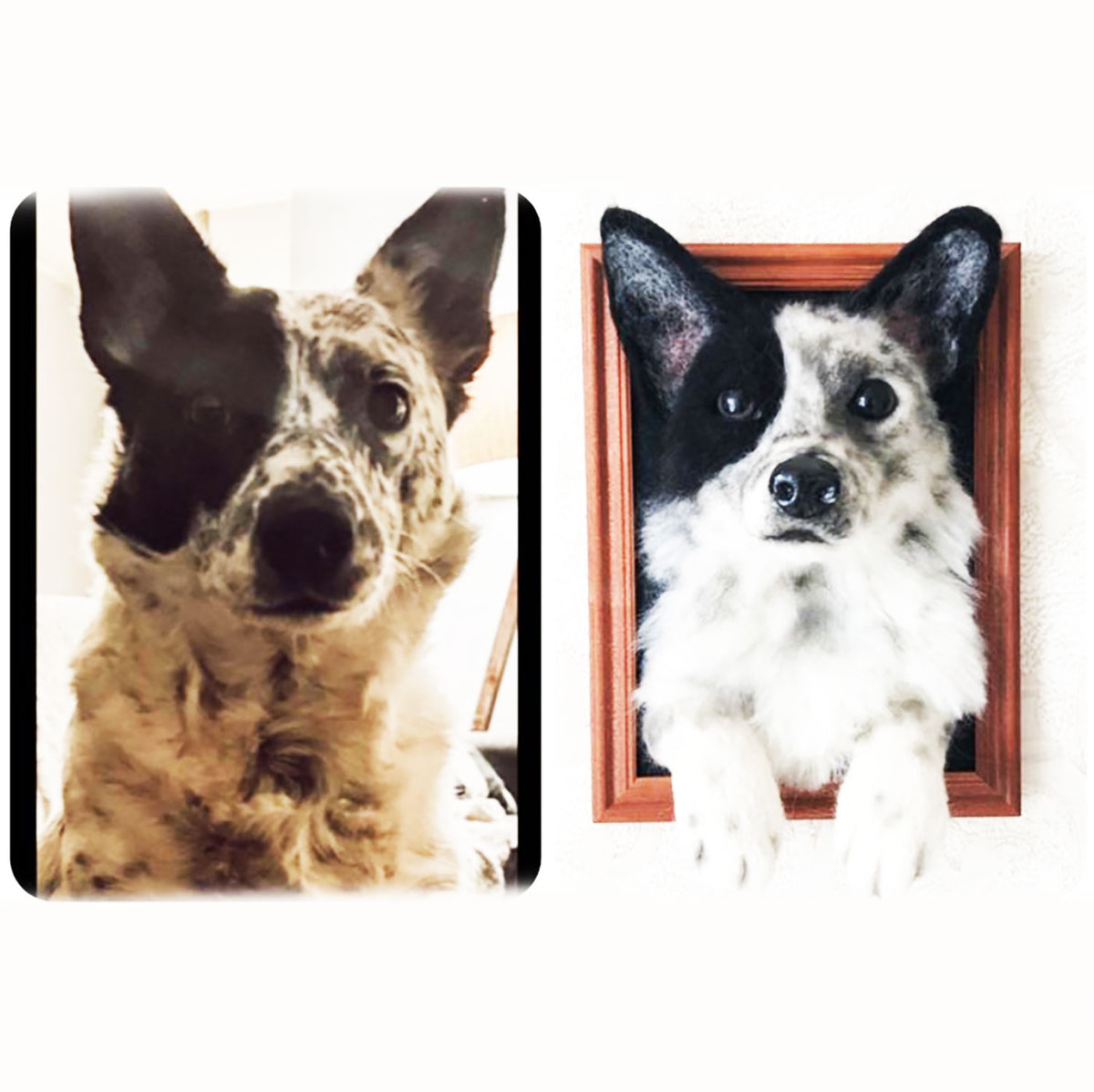 Vertical Dog Portrait - Face &amp; Paws- Border Collie