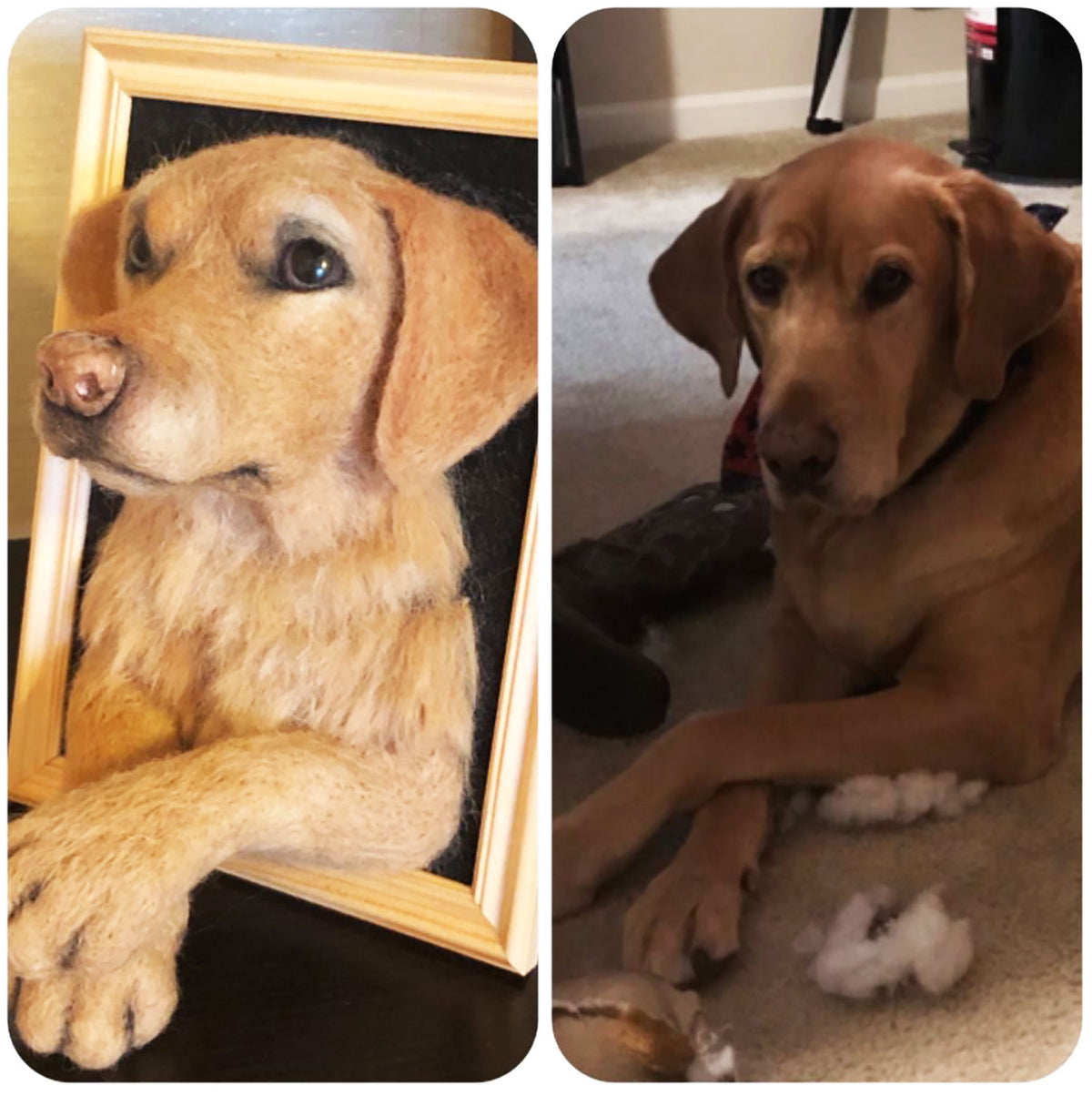 Vertical Dog Portrait - Face &amp; Paws - Red Fox Labrador