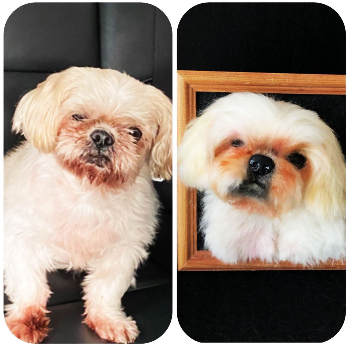 Vertical Dog Portrait - Face - Shih Tzu