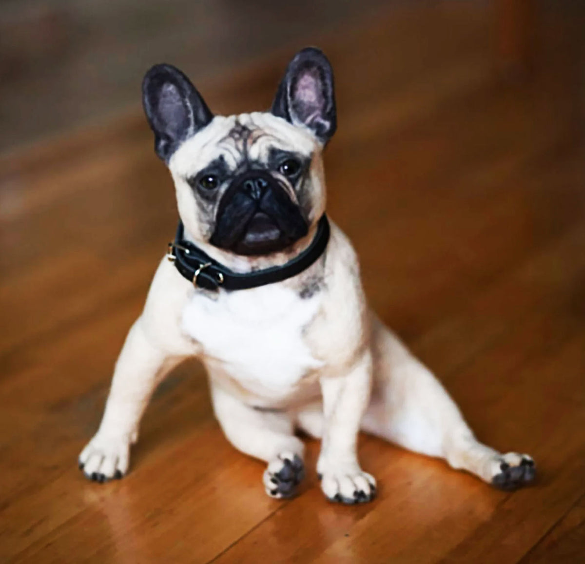 3D Felt French Bulldog Dog Doll from Photo