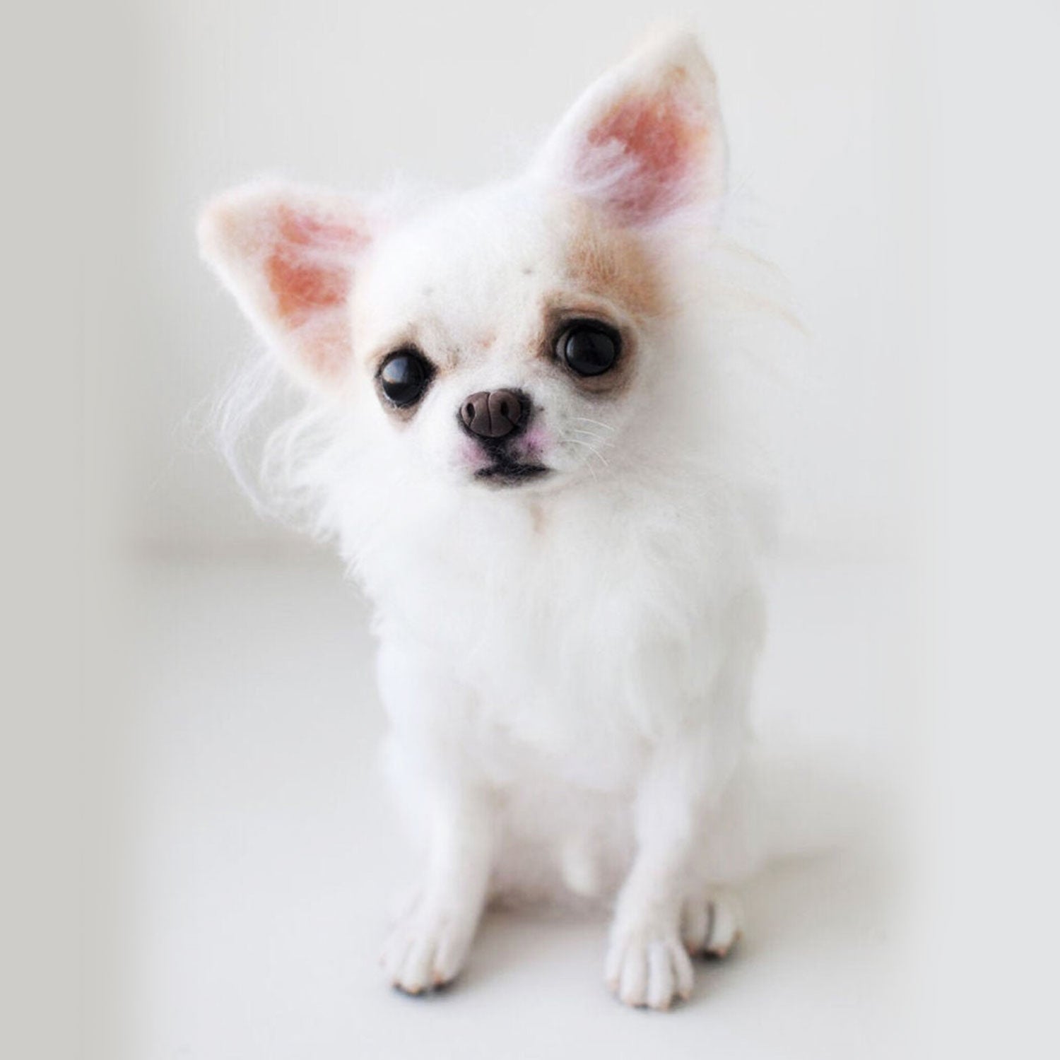 3D Felt Chihuahua Dog Doll from Photo