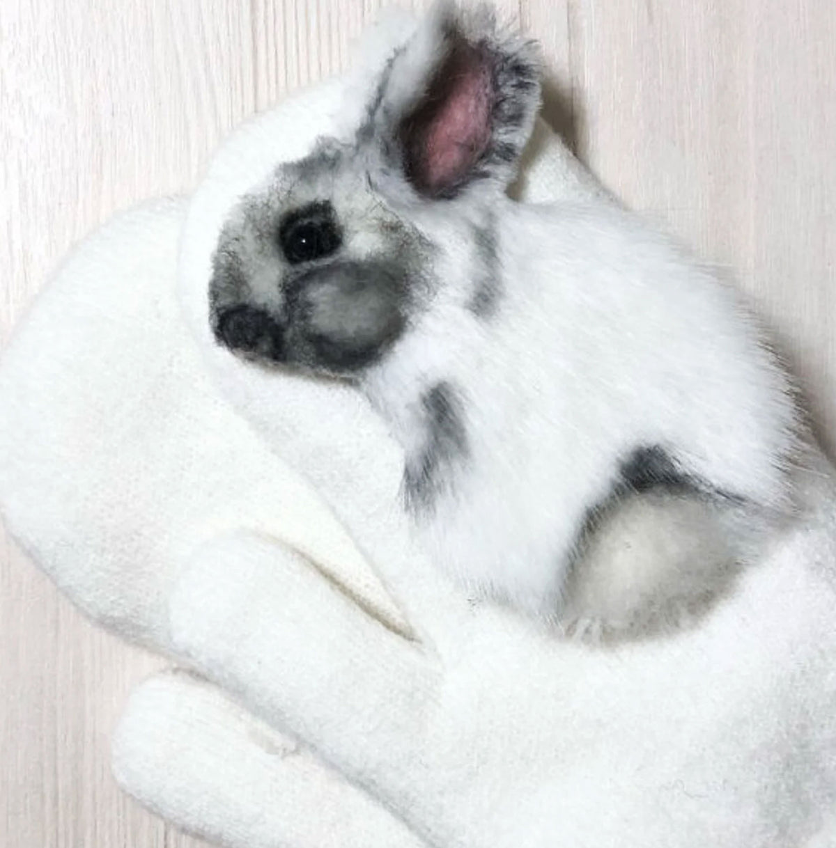 3D Felt Hare Mittens - Pet Universe