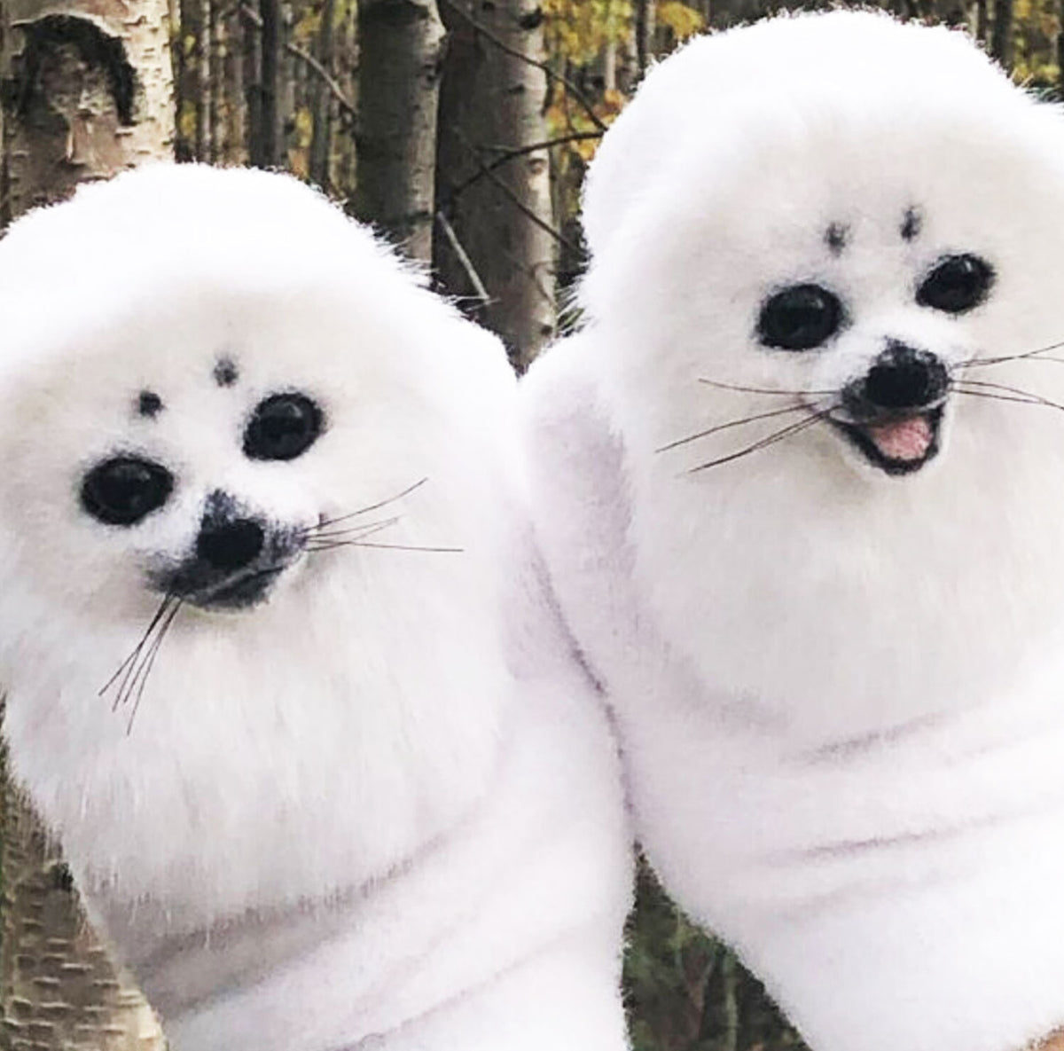 Felt Animal Mittens - Sea Lion