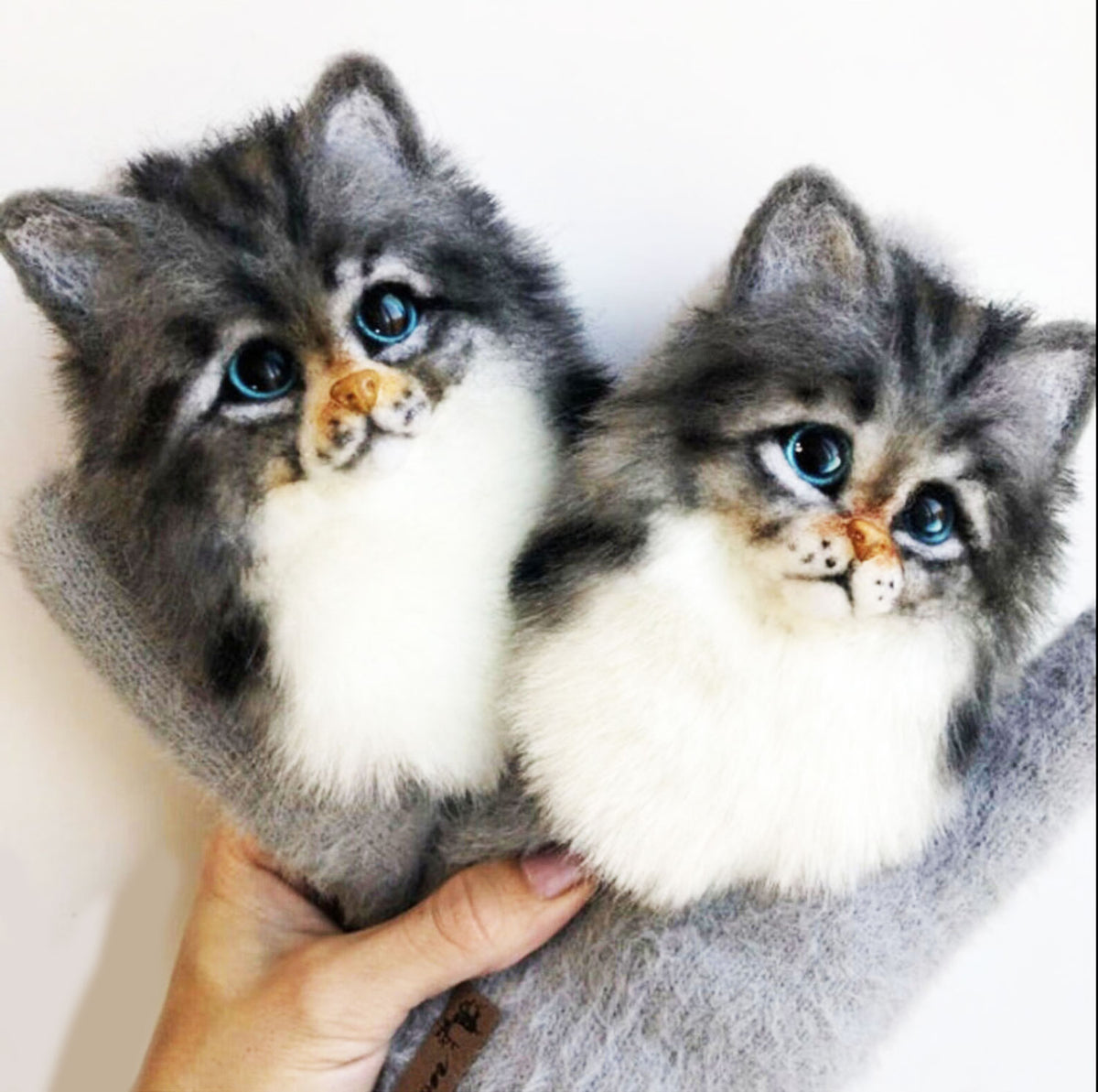 3D Custom Cat Mittens from Photo - Pet Universe