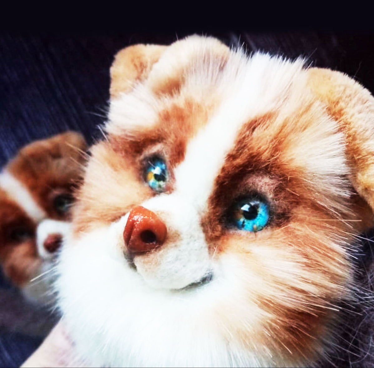 3D Custom Border Collie Dog Mittens from Photo - Pet Universe