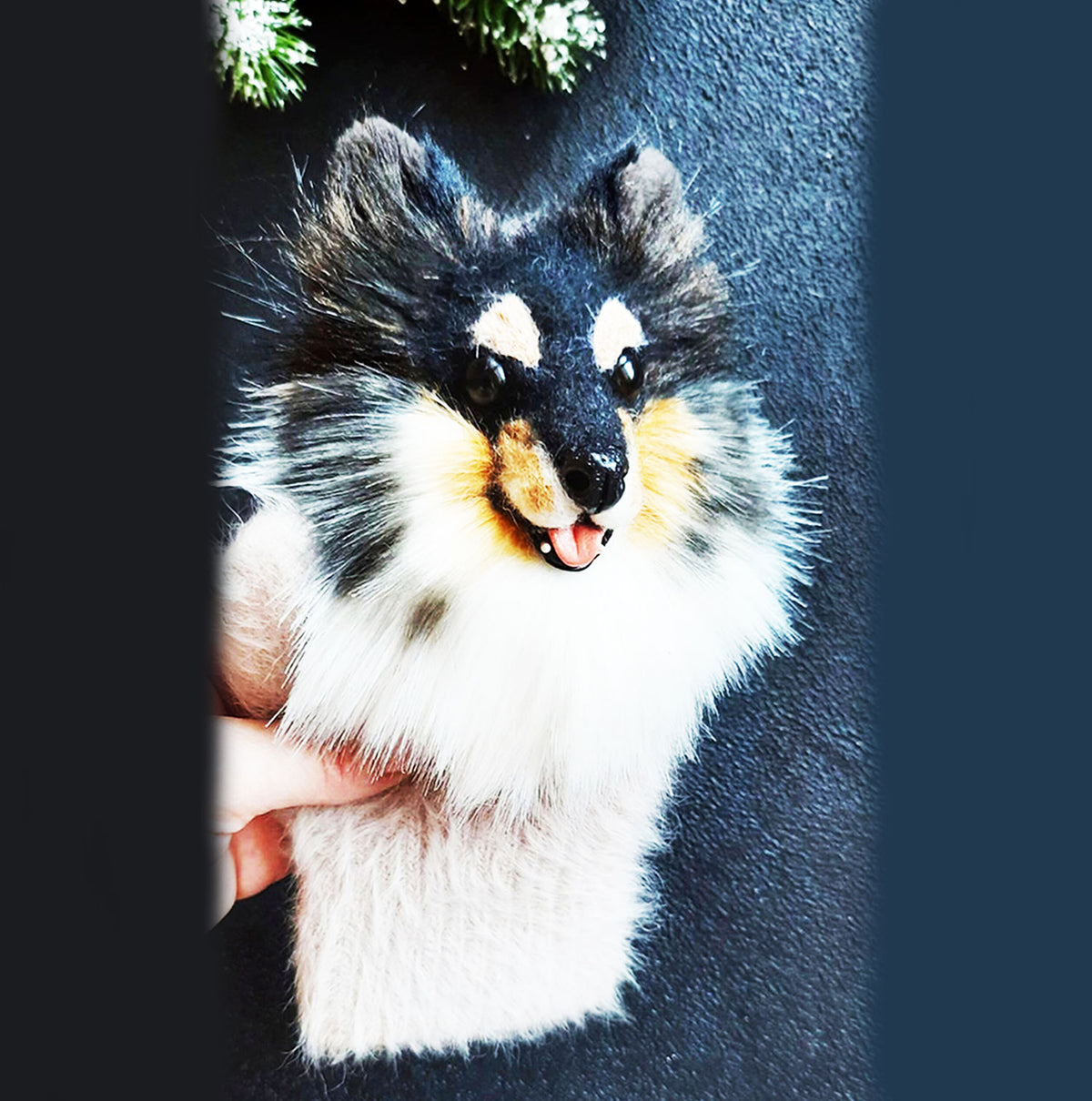 3D Custom Border Collie Dog Mittens from Photo - Pet Universe