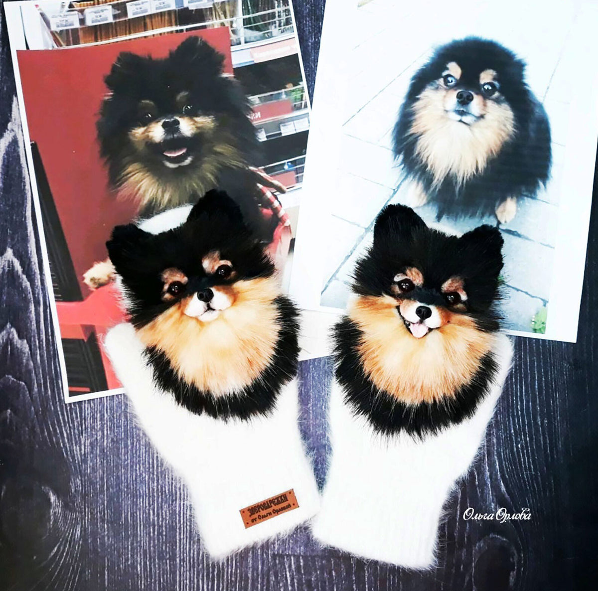 3D Custom Pomeranian Dog Mittens from Photo - Pet Universe