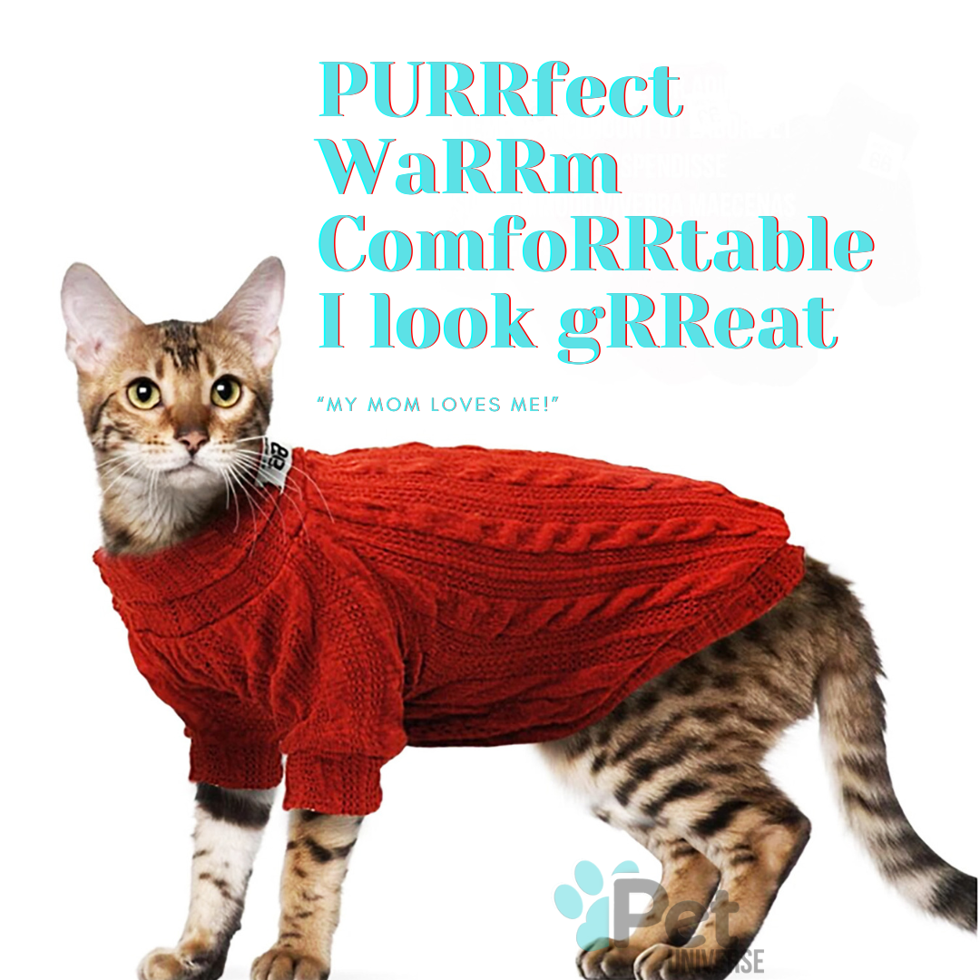 Cable Knit Turtleneck Sweater for Small Dogs &amp; Cats Knitwear