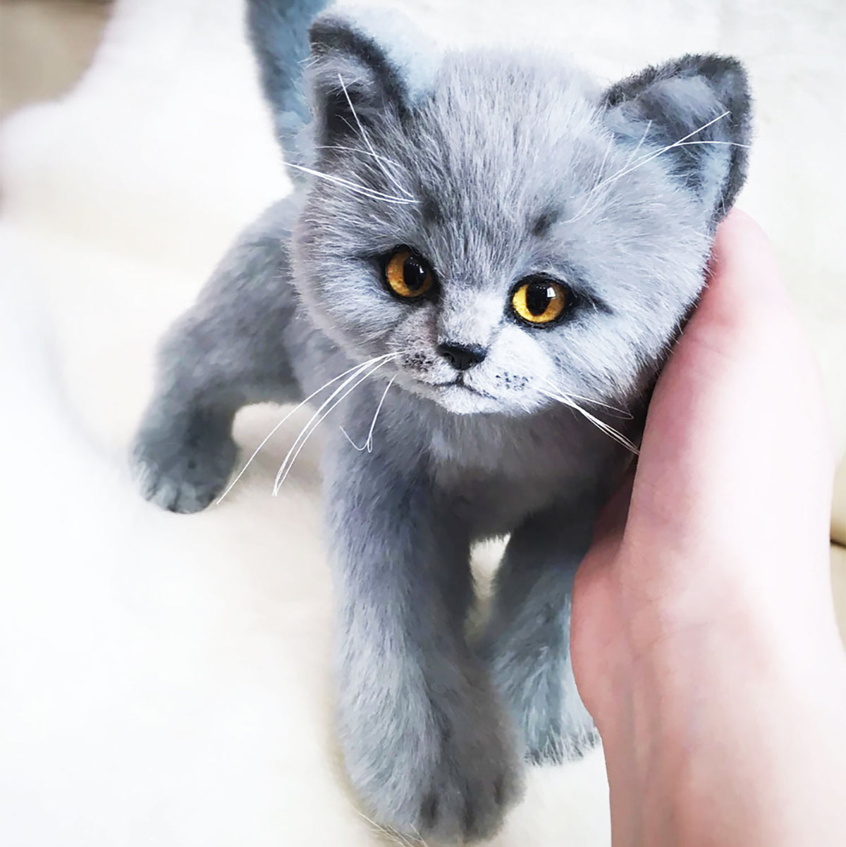 PLUSH Cat, Cat Stuffed Animal from Photos - Medium British Shorthair Cat