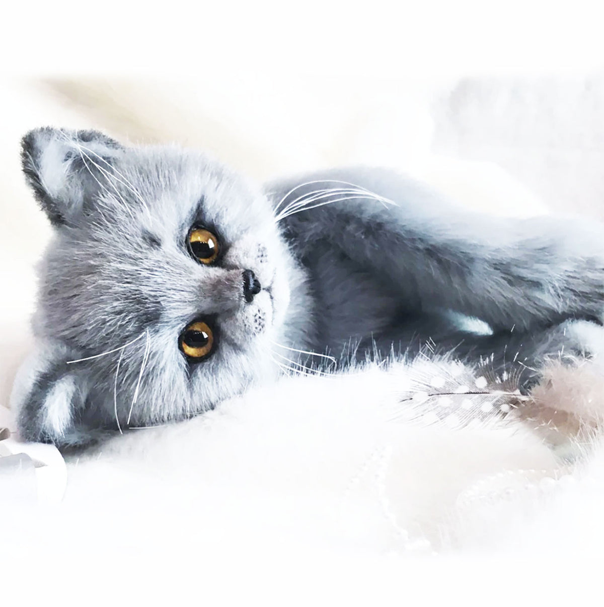 PLUSH Cat, Cat Stuffed Animal from Photos - Medium British Shorthair Cat