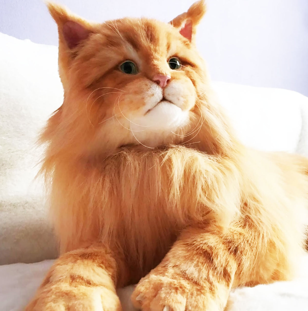 PLUSH Cat, Cat Stuffed Animal from Photos - Big Maine Coon Cat