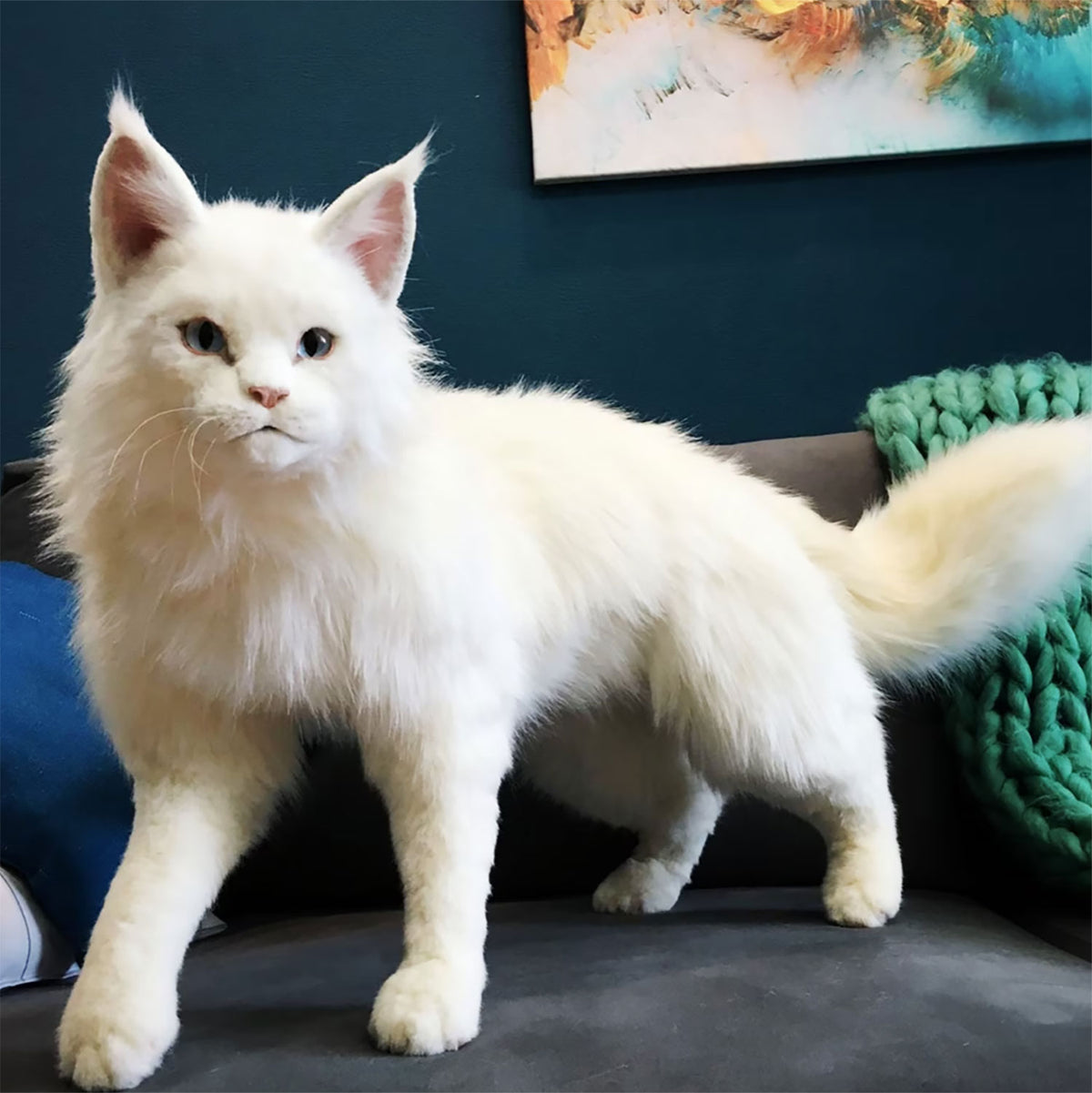 PLUSH Cat, Cat Stuffed Animal from Photos - Big Maine Coon Cat