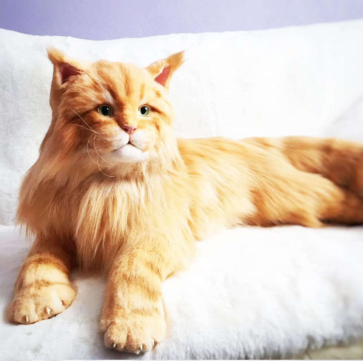 PLUSH Cat, Cat Stuffed Animal from Photos - Big Maine Coon Cat