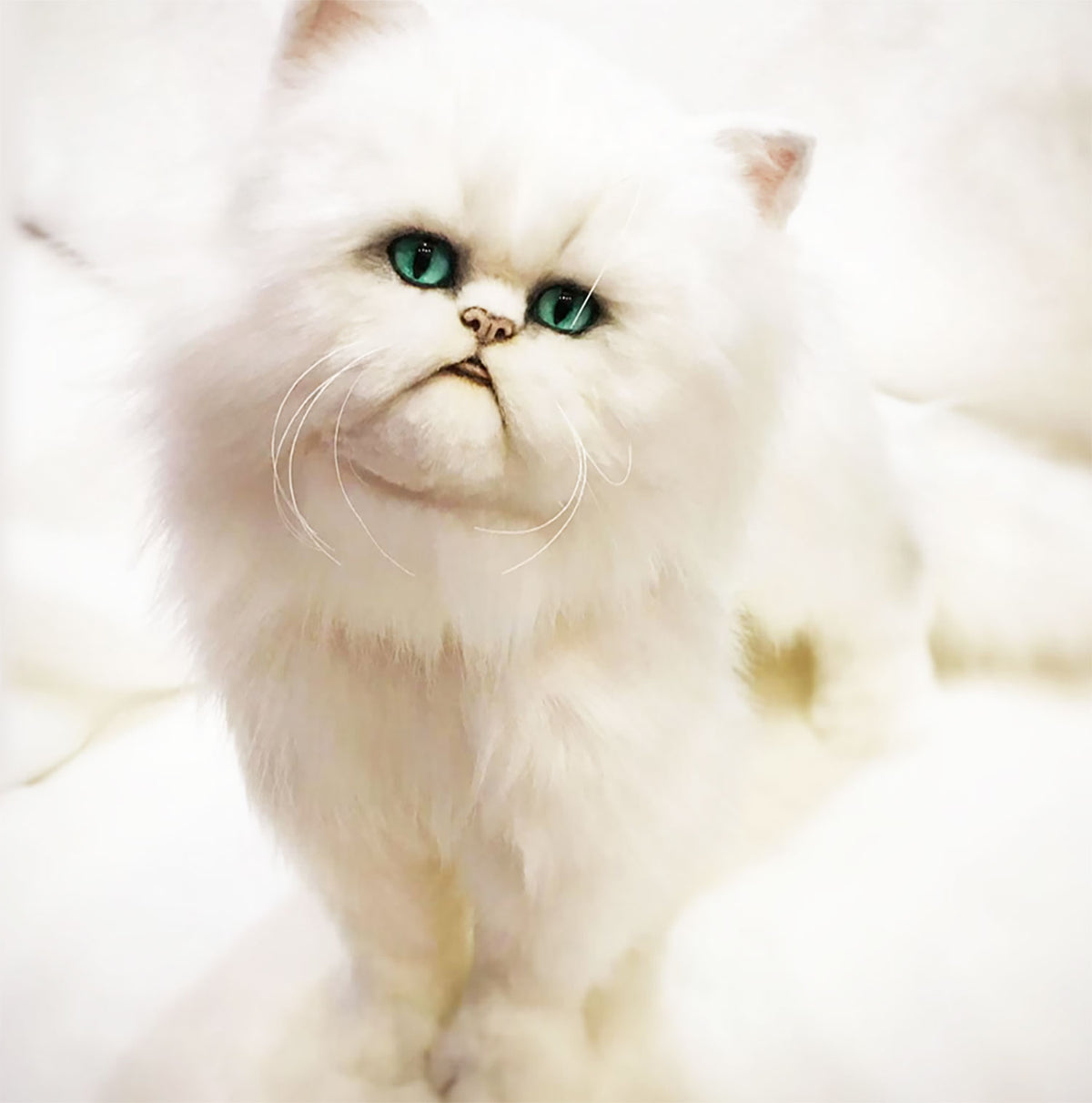 PLUSH Cat, Cat Stuffed Animal from Photos - Medium Persian Cat