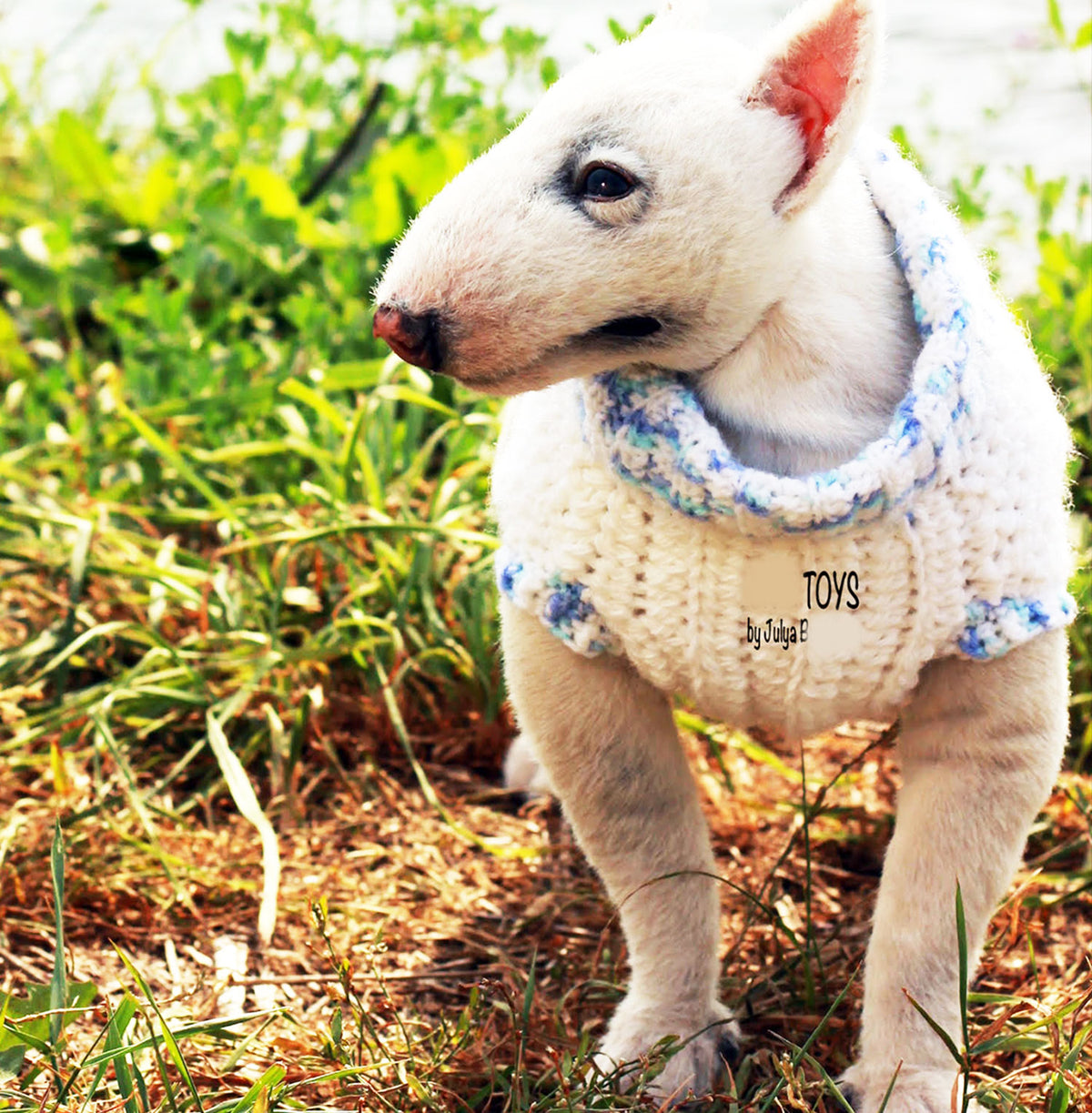 PLUSH Dog, Dog Stuffed Animal from Photos - Medium Bull Terrier