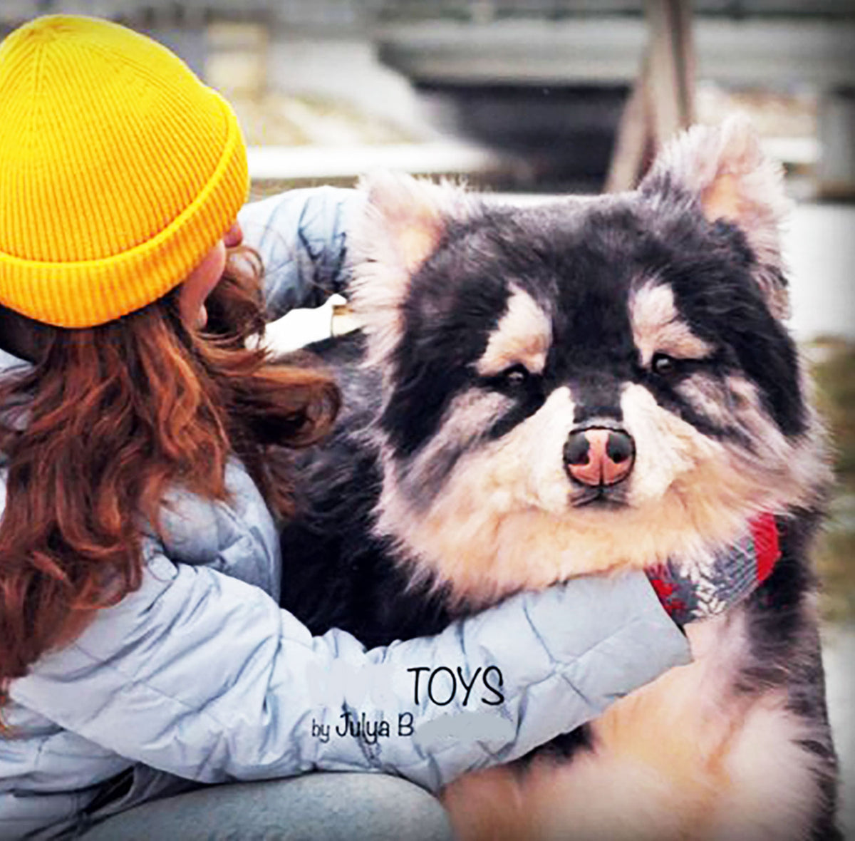 PLUSH Dog, Dog Stuffed Animal from Photos - Big Life Like Alaskan Malamute Dog
