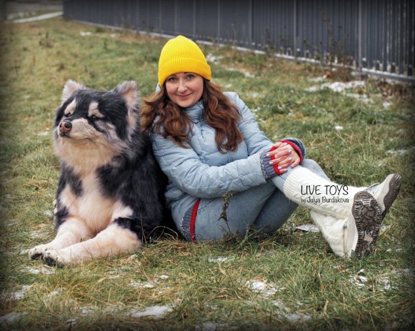 PLUSH Dog, Dog Stuffed Animal from Photos - Big Life Like Alaskan Malamute Dog