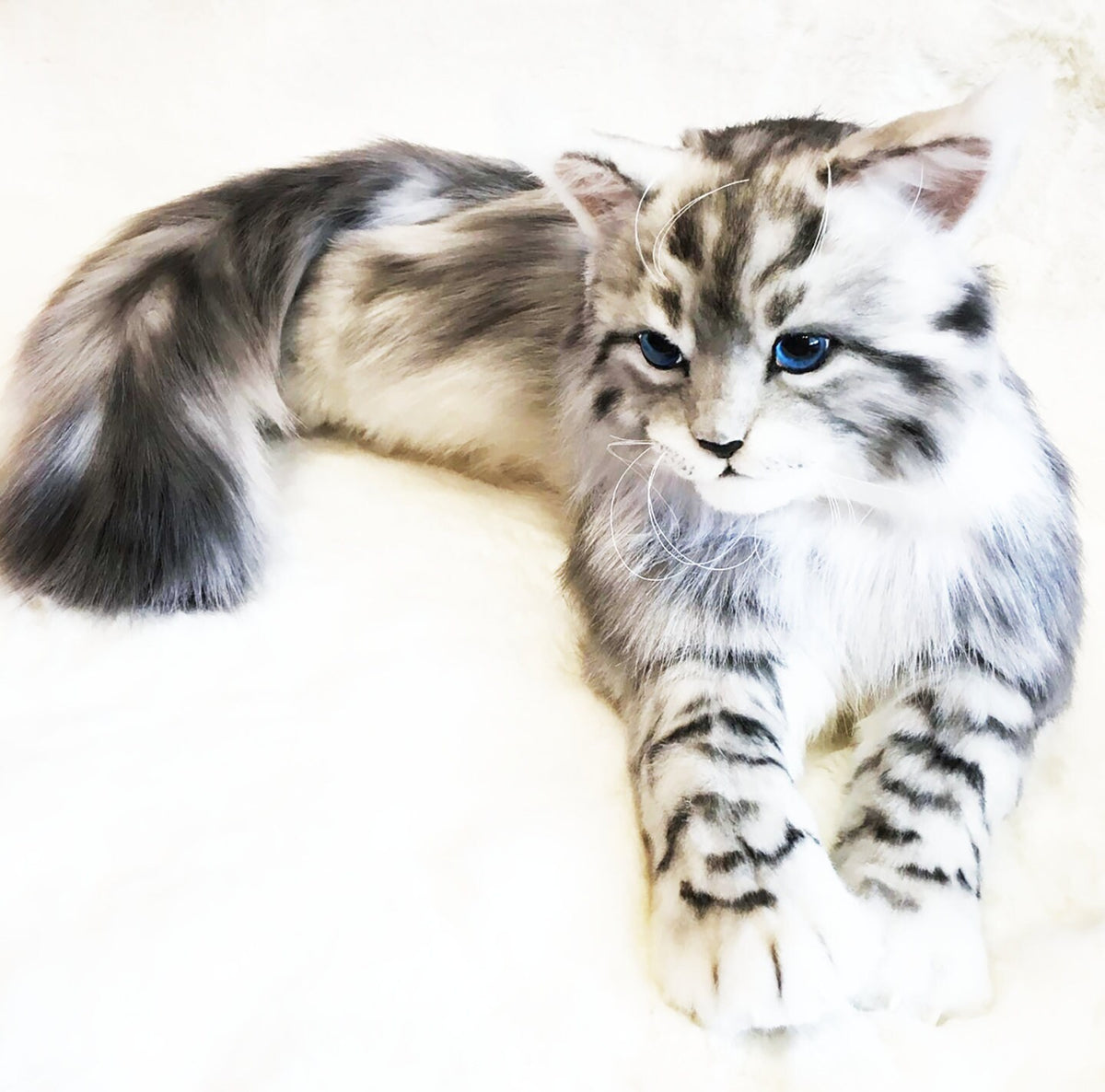 Big Plush Cat Toy from Photo