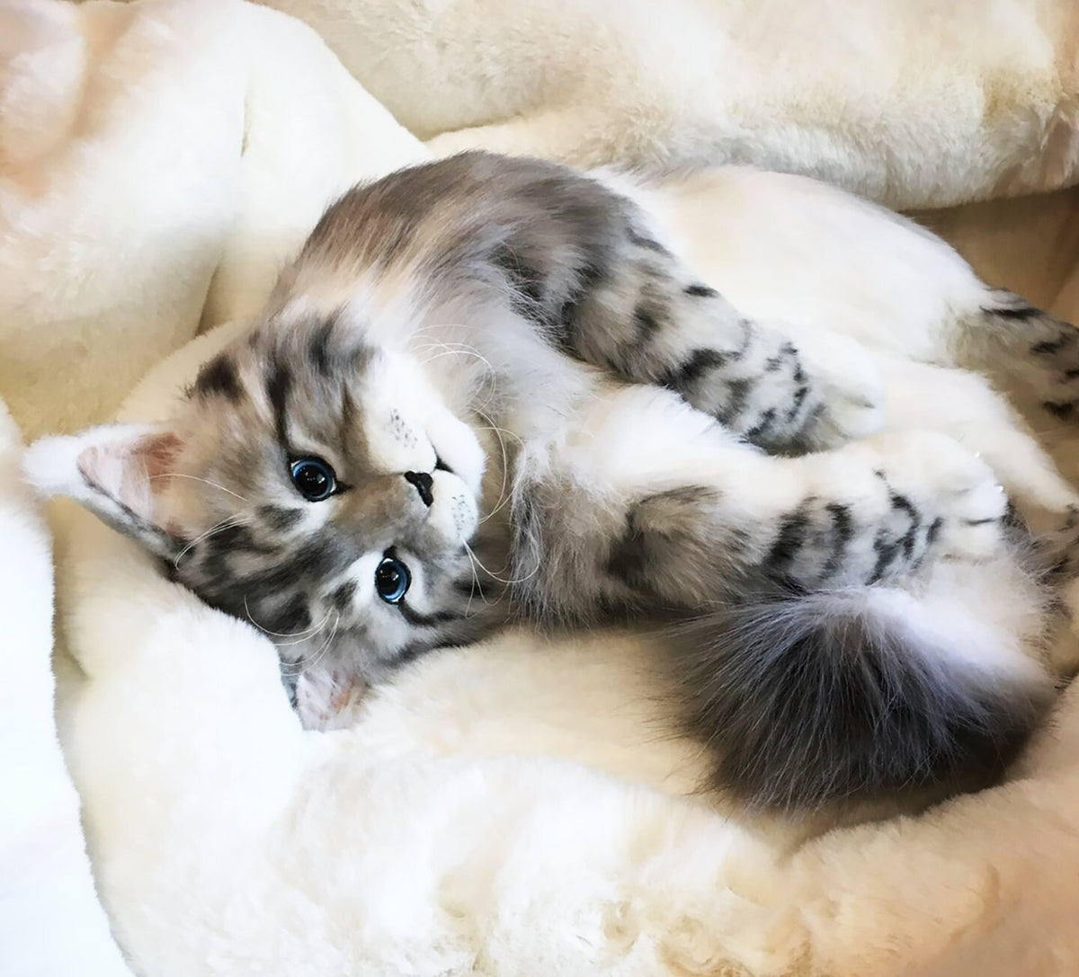 Big Plush Cat Toy from Photo