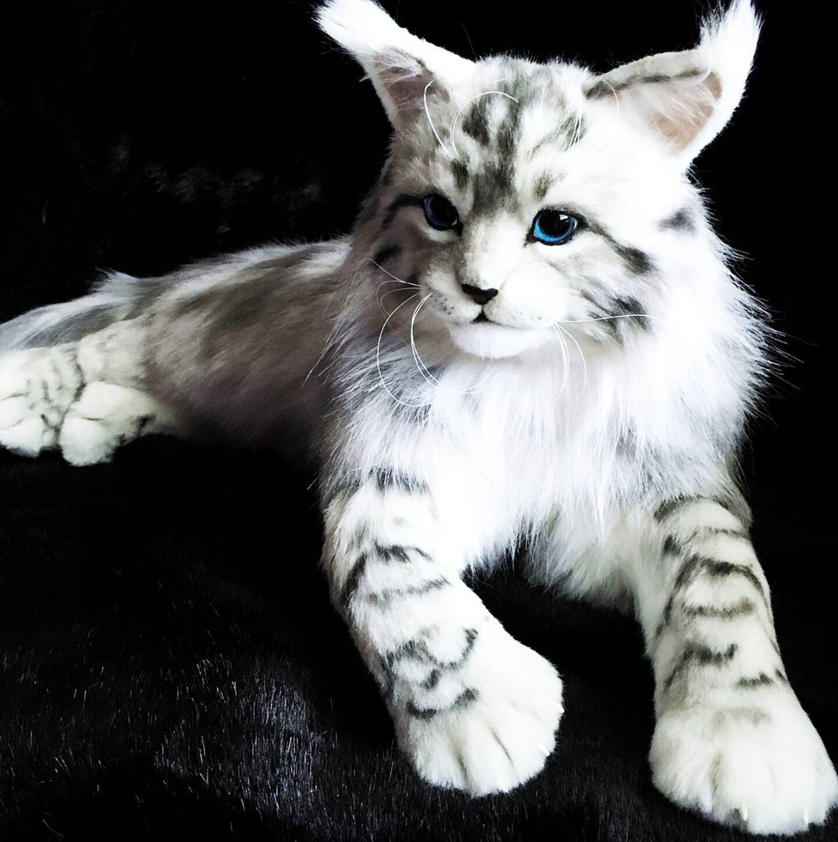 Big Plush Cat Toy from Photo