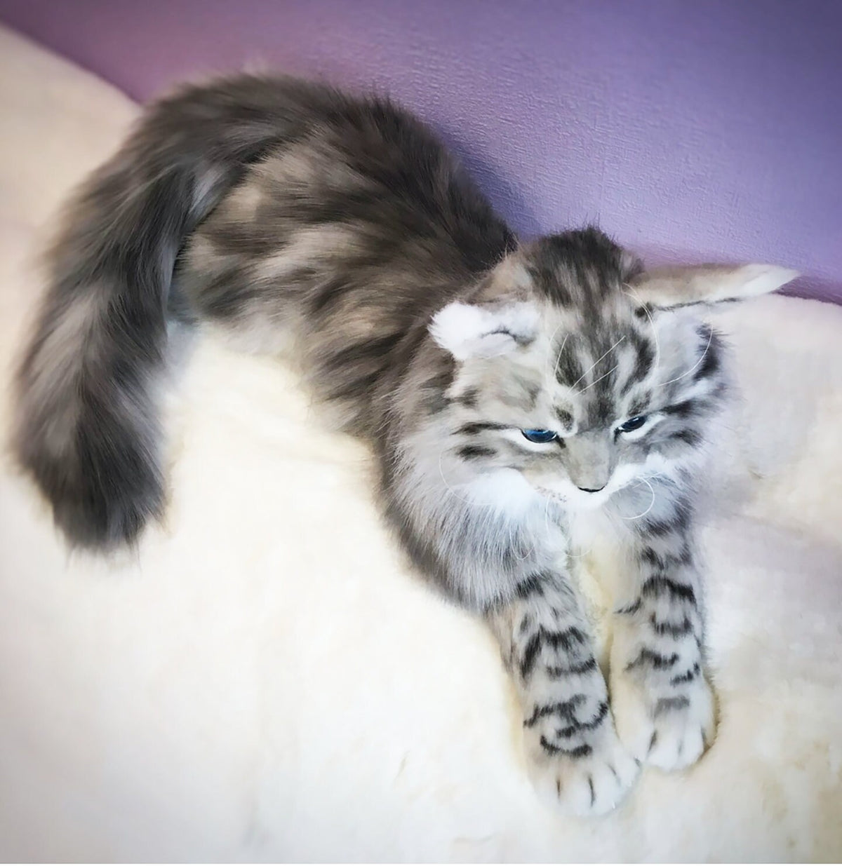 Big Plush Cat Toy from Photo
